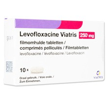 ���{�t���L�T�V��